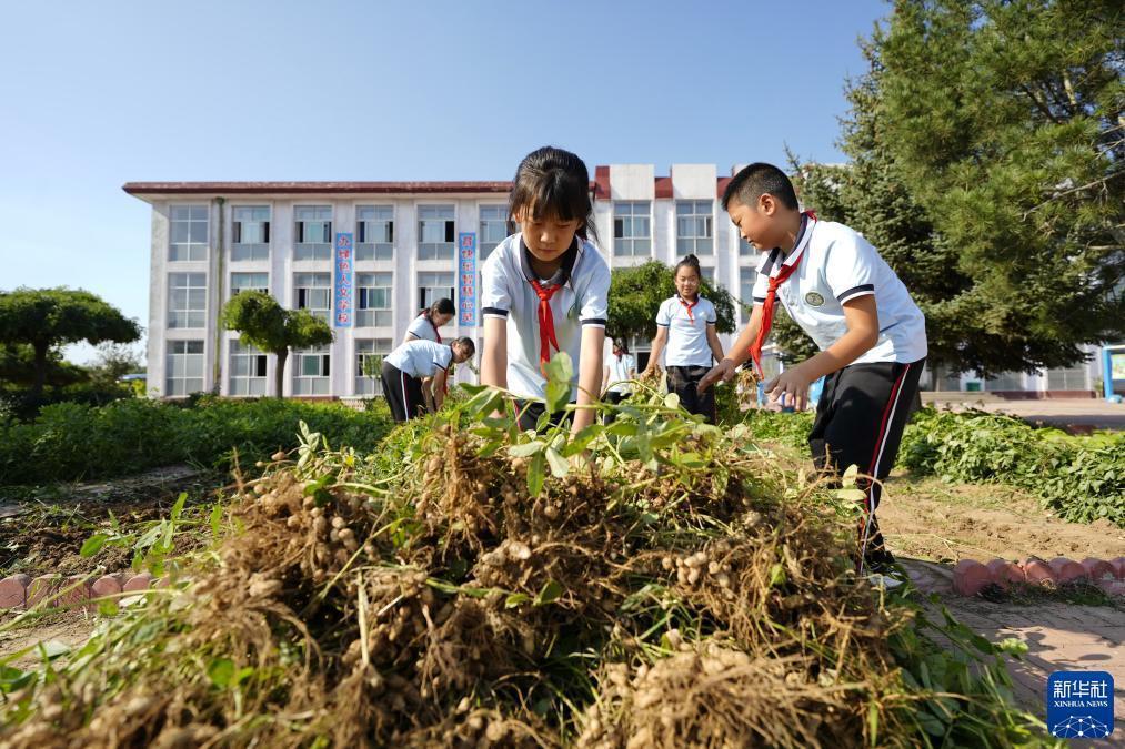 永利澳门登陆
